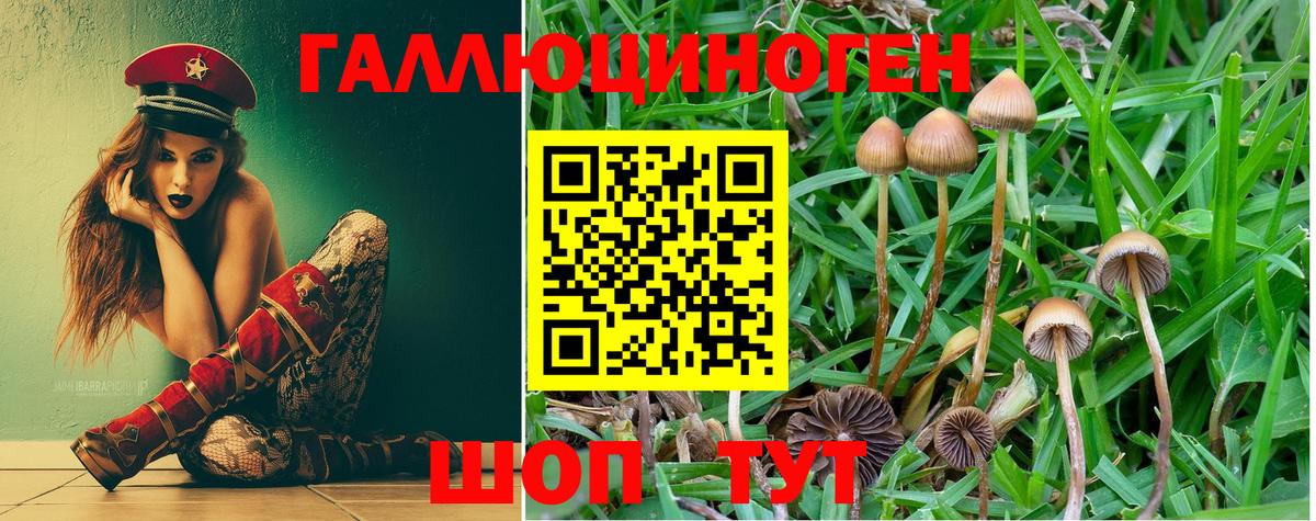 Галлюциногенные грибы прущие грибы Кирово-Чепецк