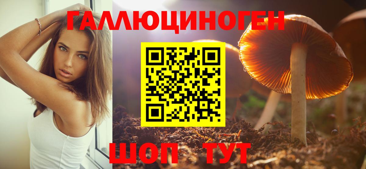 Кирово-Чепецк  Галлюциногенные грибы мицелий  Вход с VPN 